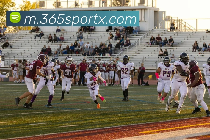 多媒体互动体验